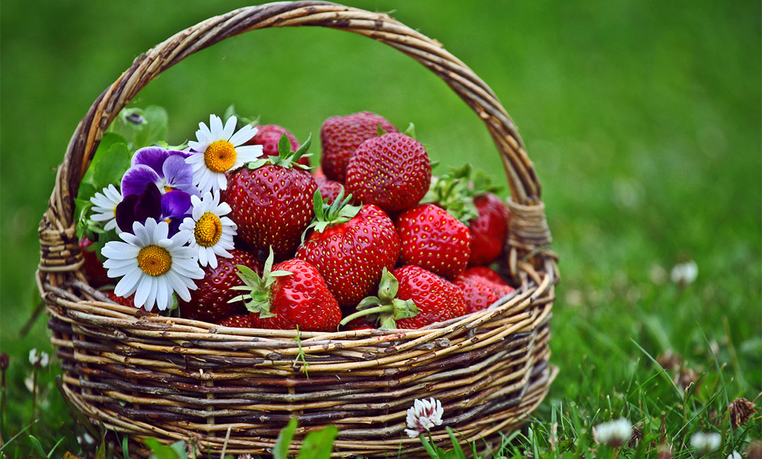 商丘点呀点水果电商APP开发案例